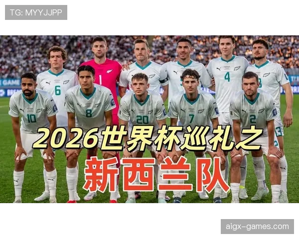 新西兰G组赛前观察报告